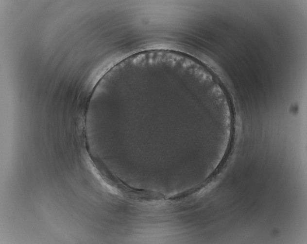 X0000111520993200908251133