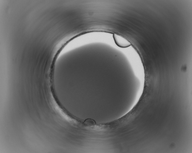 X0000111520995200908251133