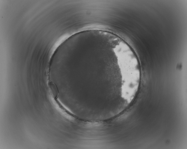X0000111520997200908251133