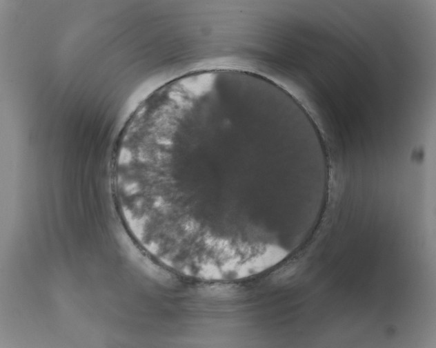 X0000111520998200908251133