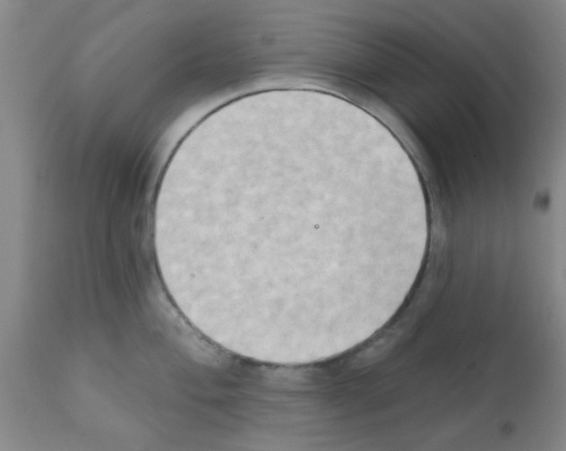 X0000111521004200908251133