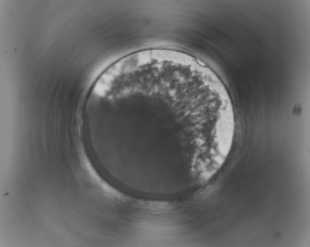 X0000111521007200908251133
