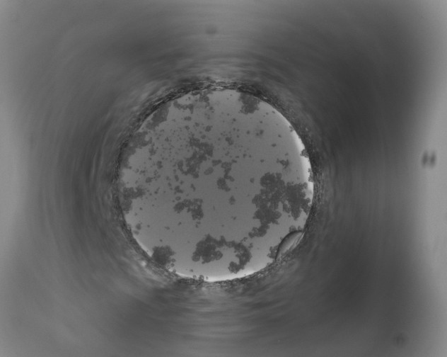 X0000111521009200908251132