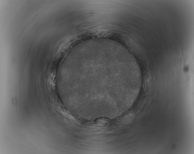 X0000111521010200908251132