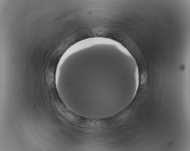 X0000111521011200908251132