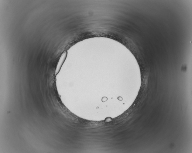 X0000111521012200908251132