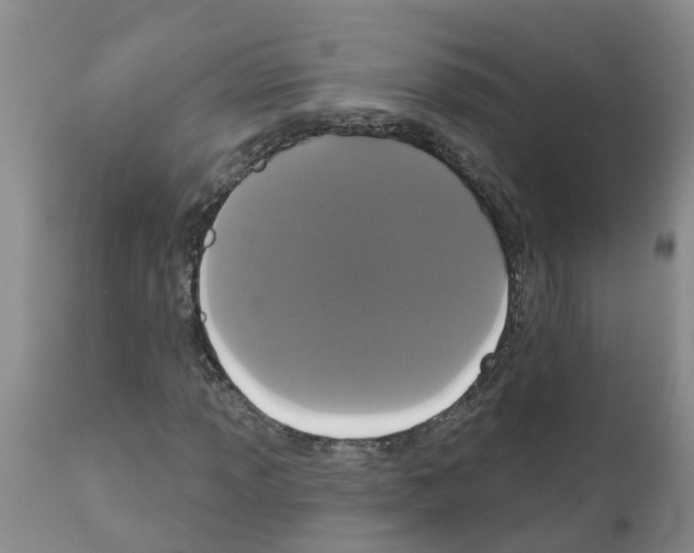 X0000111521013200908251132