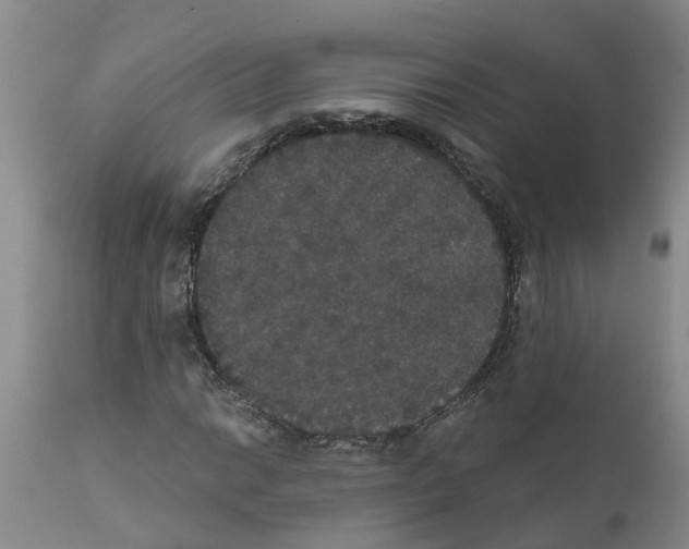 X0000111521014200908251132