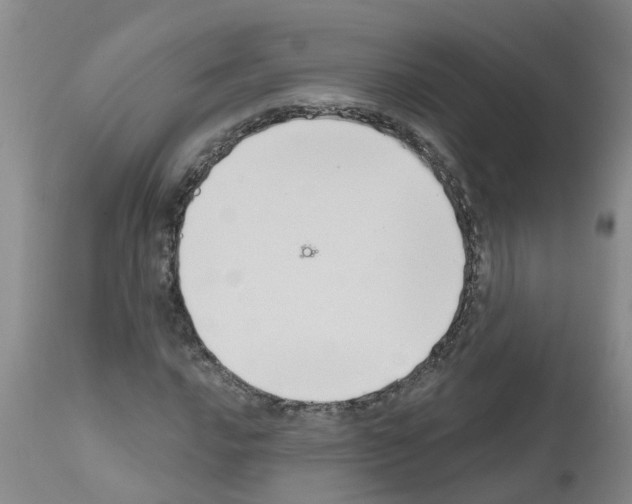 X0000111521016200908251132