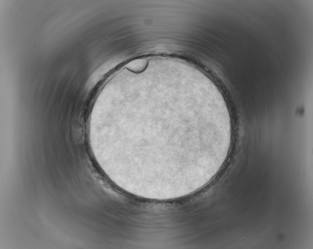 X0000111521018200908251132