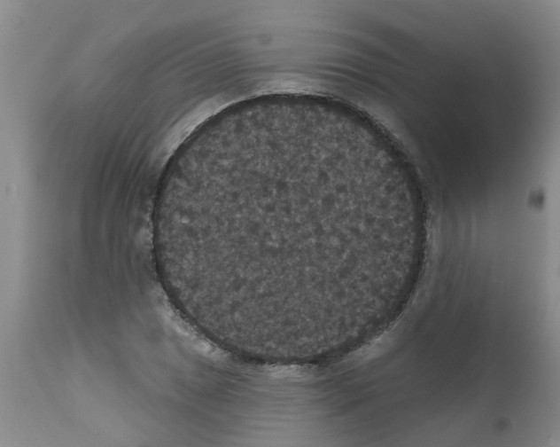 X0000111521025200908251132