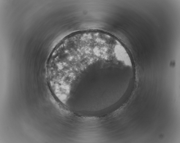 X0000111521031200908251132