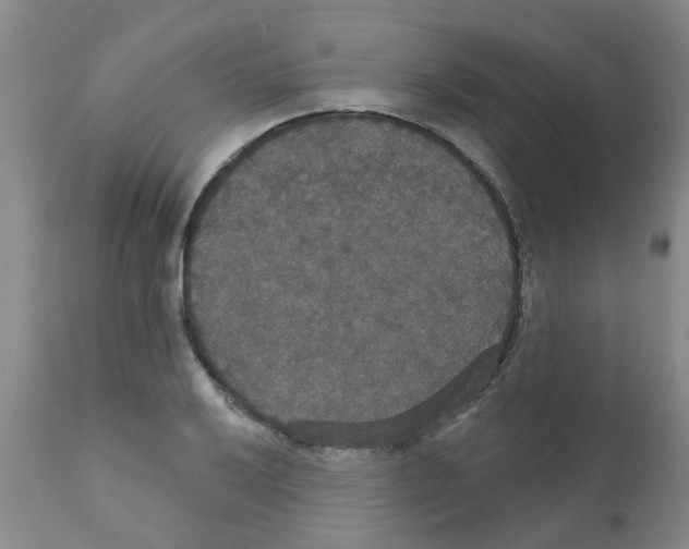 X0000111521032200908251132