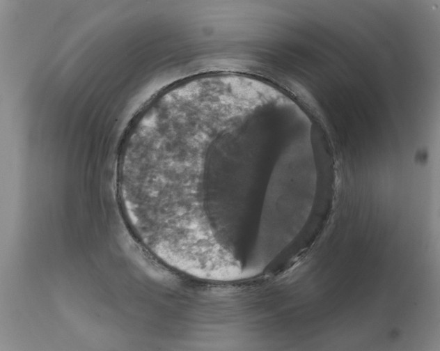 X0000111521035200908251132