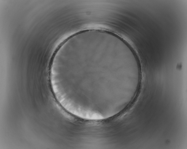 X0000111521037200908251132