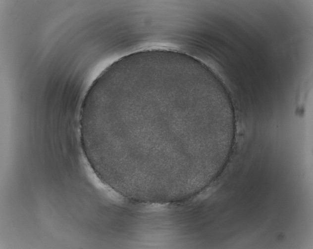 X0000111521038200908251132