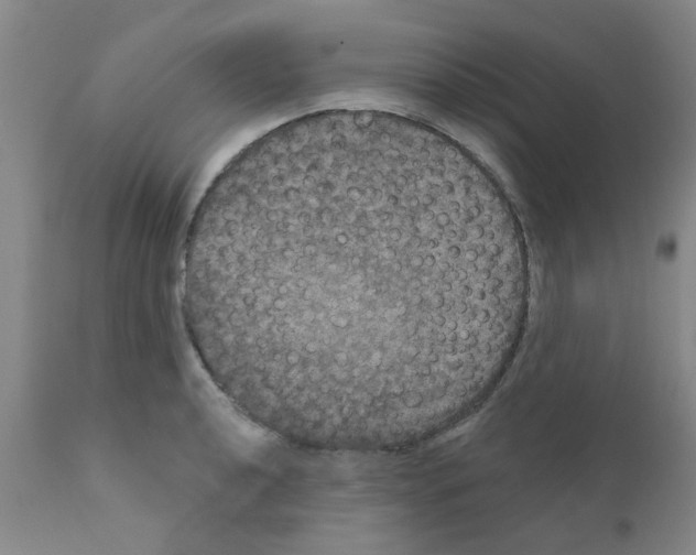 X0000111521040200908251132