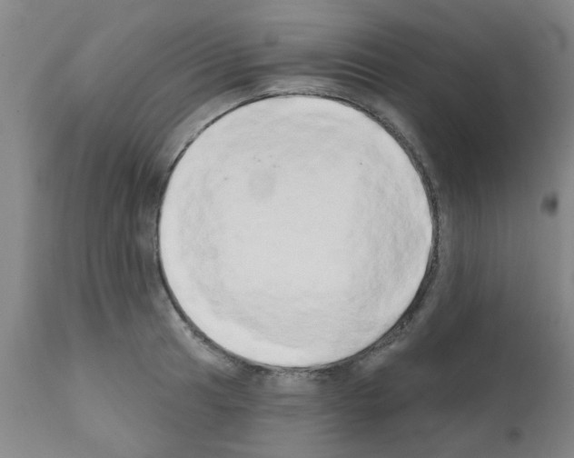 X0000111521041200908251132