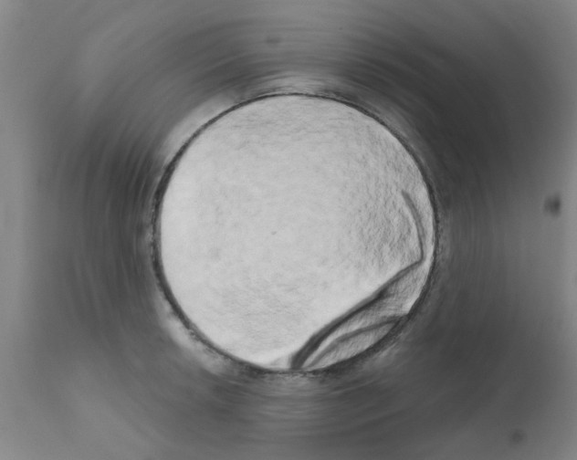 X0000111521042200908251132