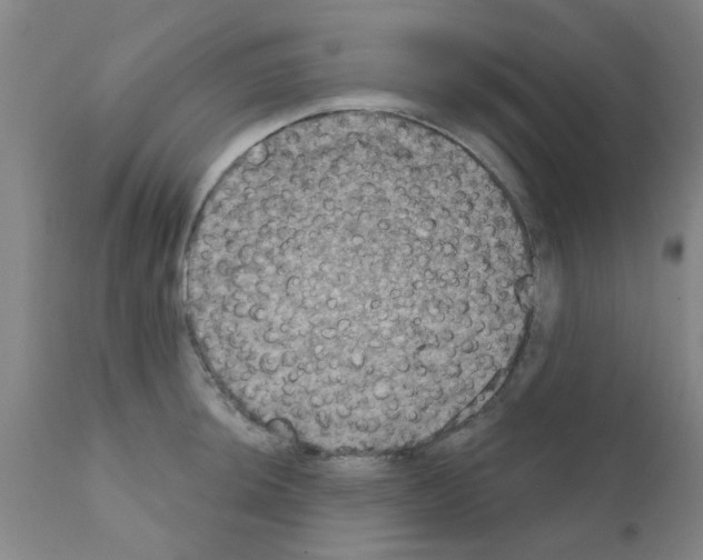 X0000111521044200908251132