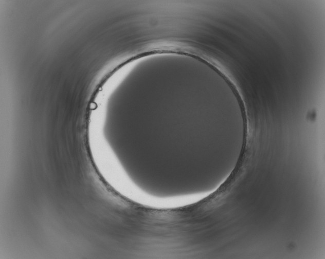 X0000111521045200908251133