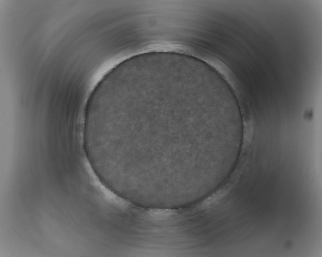 X0000111521046200908251133