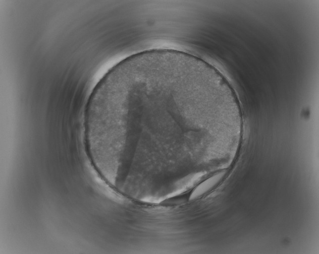 X0000111521048200908251133
