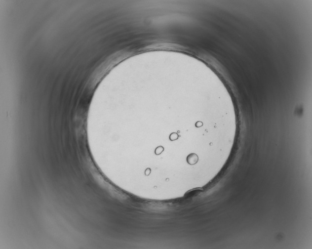 X0000111521049200908251133