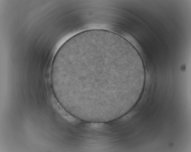 X0000111521052200908251133