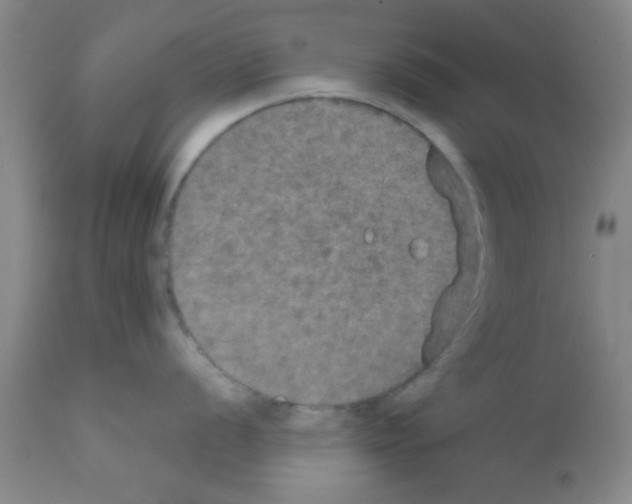 X0000111521056200908251133