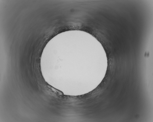 X0000111521057200908251132
