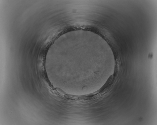 X0000111521060200908251132