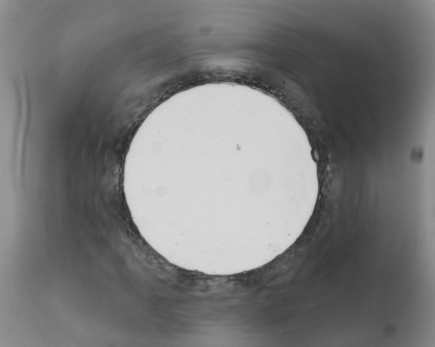 X0000111521061200908251132