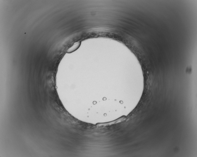 X0000111521062200908251132