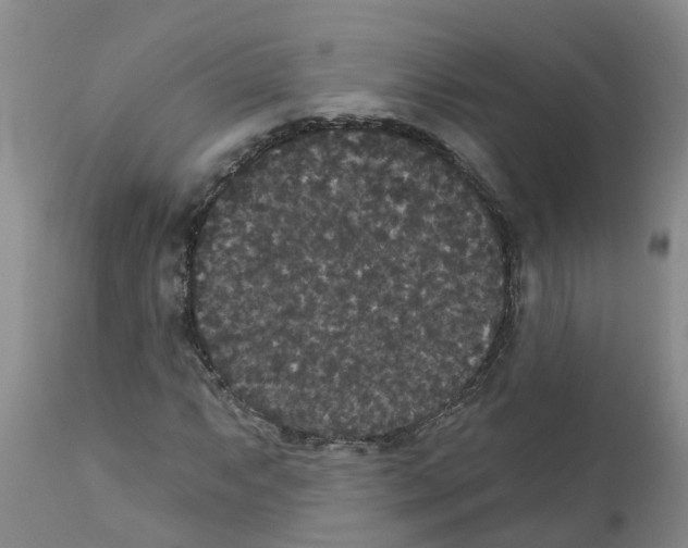 X0000111521063200908251132