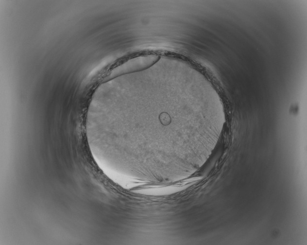 X0000111521064200908251132