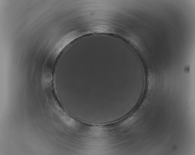X0000111521065200908251132