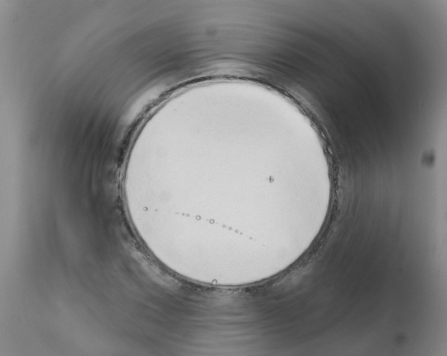 X0000111521067200908251132