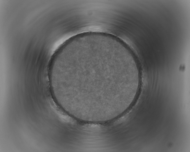 X0000111521070200908251132