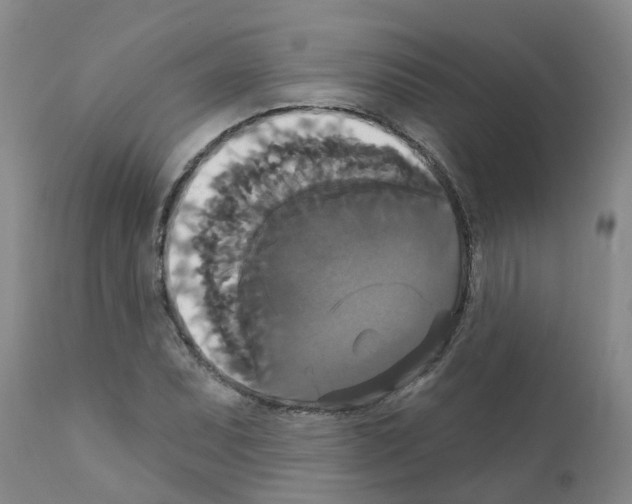 X0000111521071200908251132