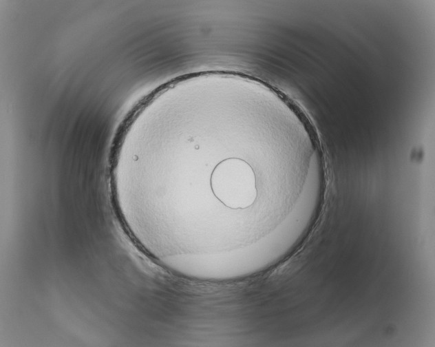 X0000111521072200908251132