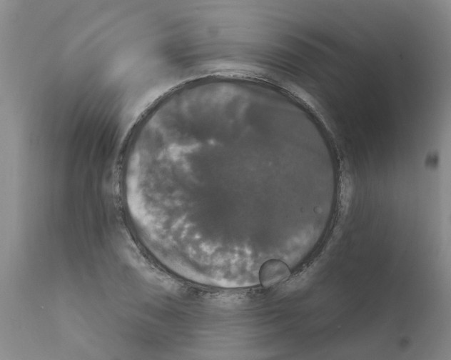 X0000111521074200908251132