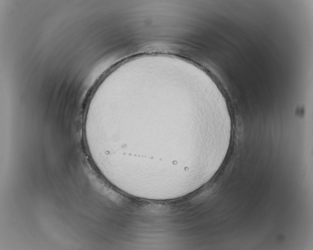 X0000111521075200908251131