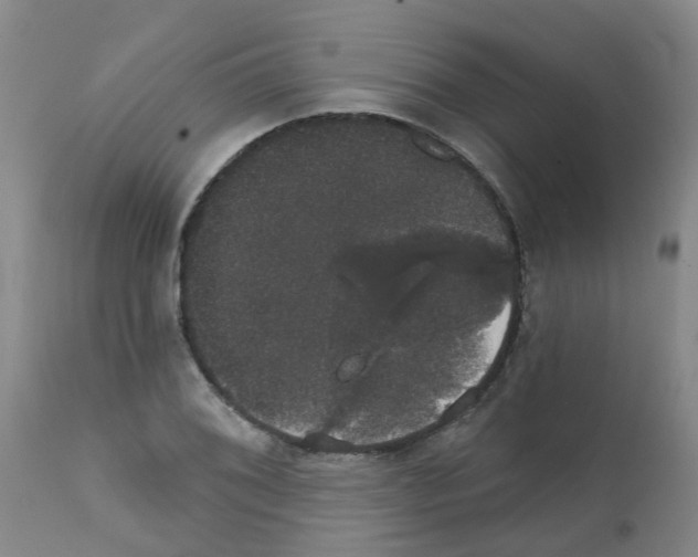 X0000111521076200908251131