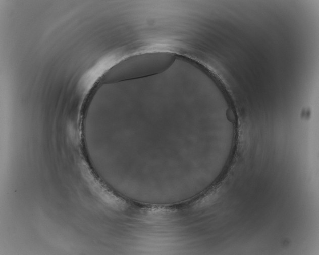 X0000111521077200908251131