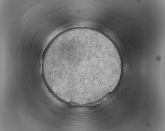 X0000111521079200908251131