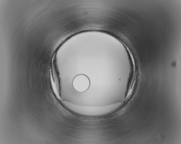 X0000111521081200908251131