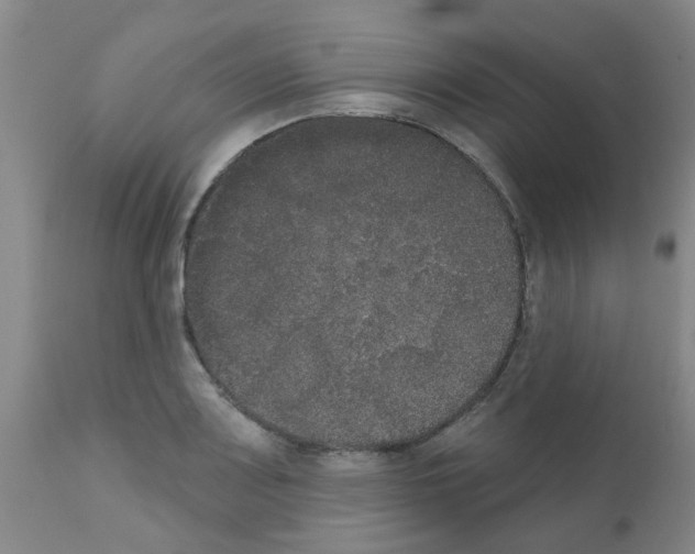 X0000111521083200908251131