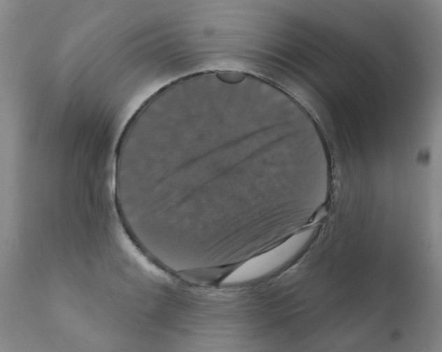 X0000111521084200908251131