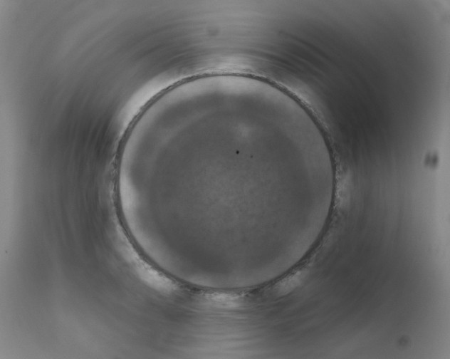 X0000111521086200908251131